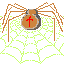 The Web