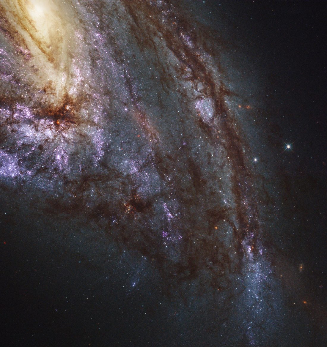 The spiral galaxy NGC 3627 (Messier 66), the subject of my Diplom thesis, imaged by the Hubble Space Telescope.
